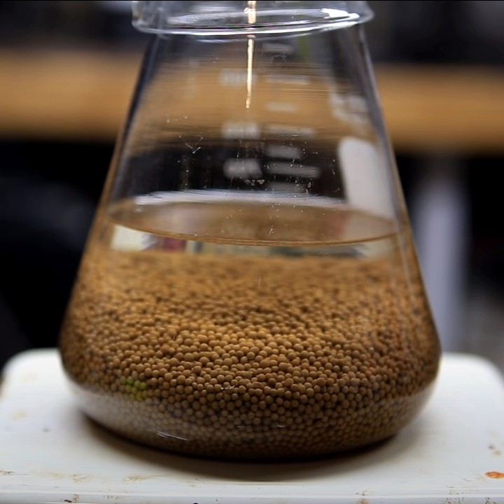 How to make anhydrous ethanol